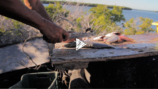 A Beachside Feast
