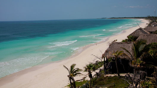 Oceanfront Property