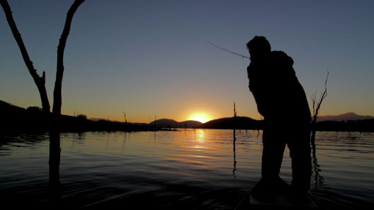 Fishing From the Treetops